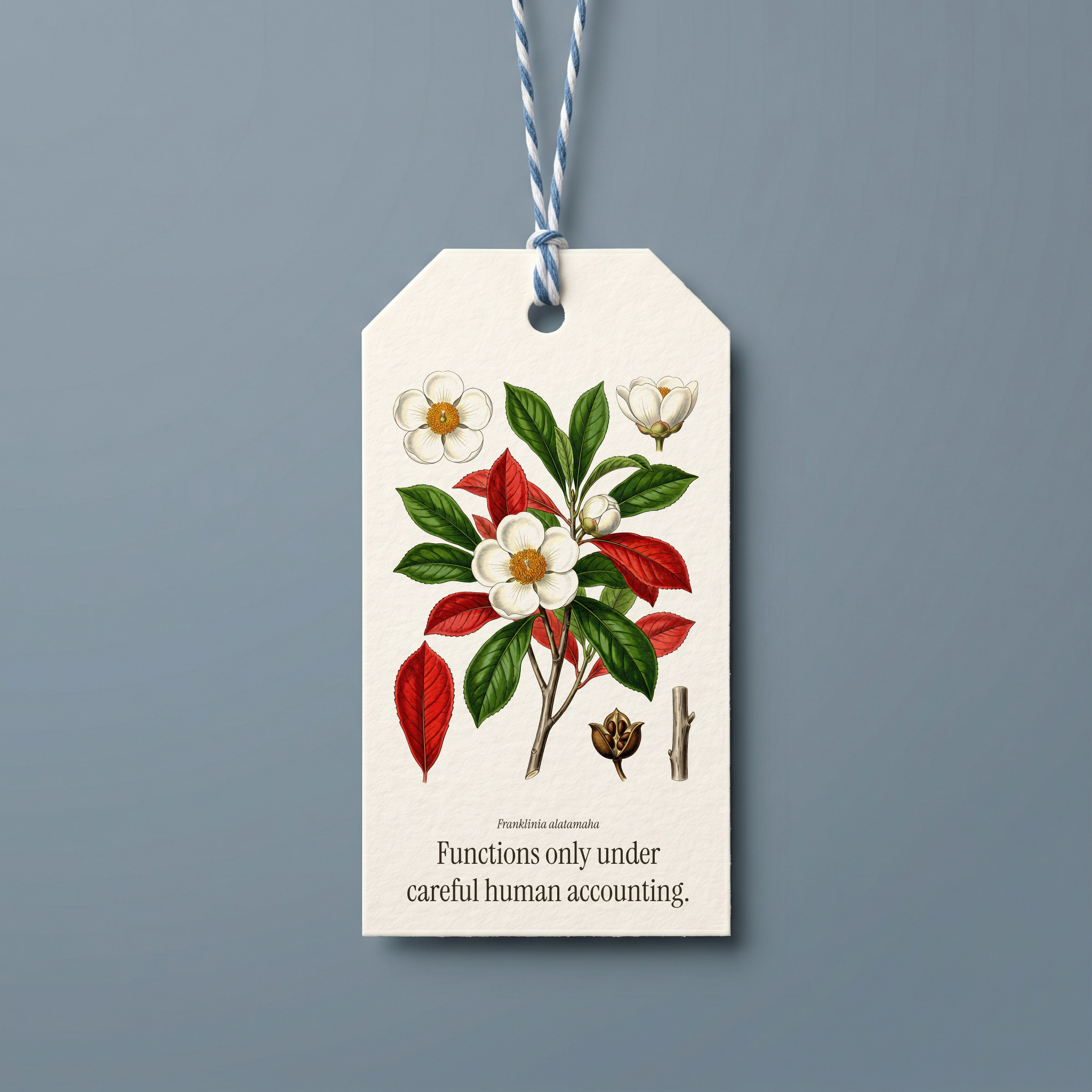 Preview of eight printable botanical gift tags from Mordant Press