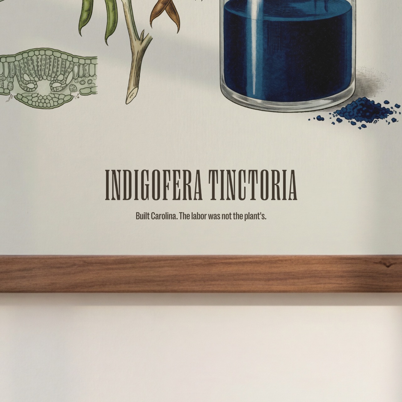 Indigo print detail with caption
