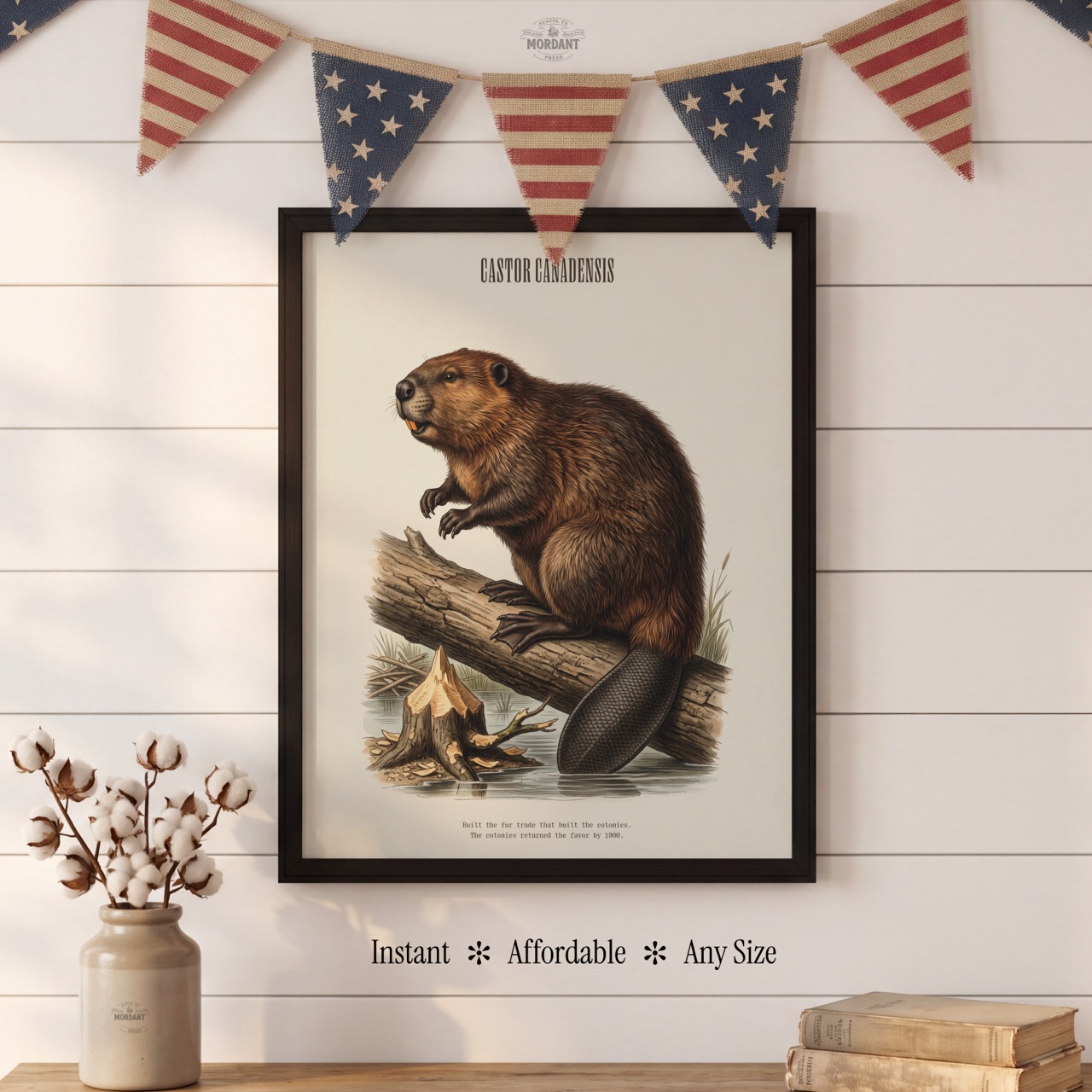 American Beaver print framed on a wall