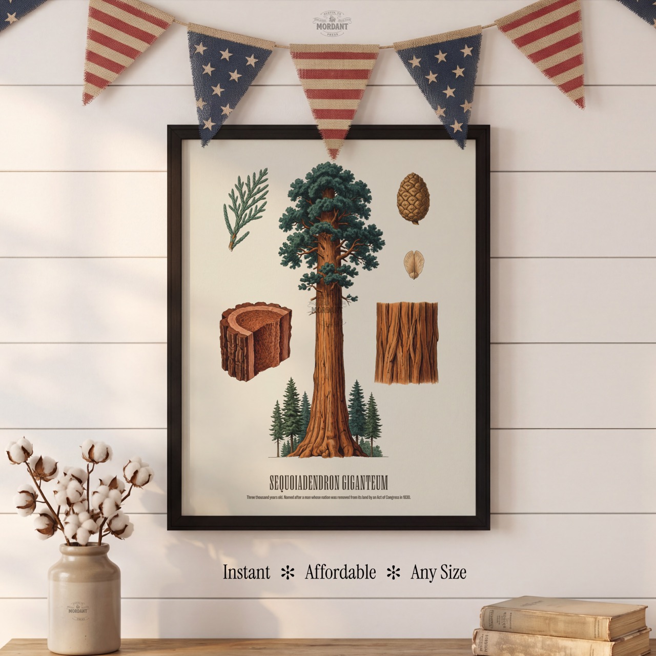 Giant Sequoia print framed on a wall
